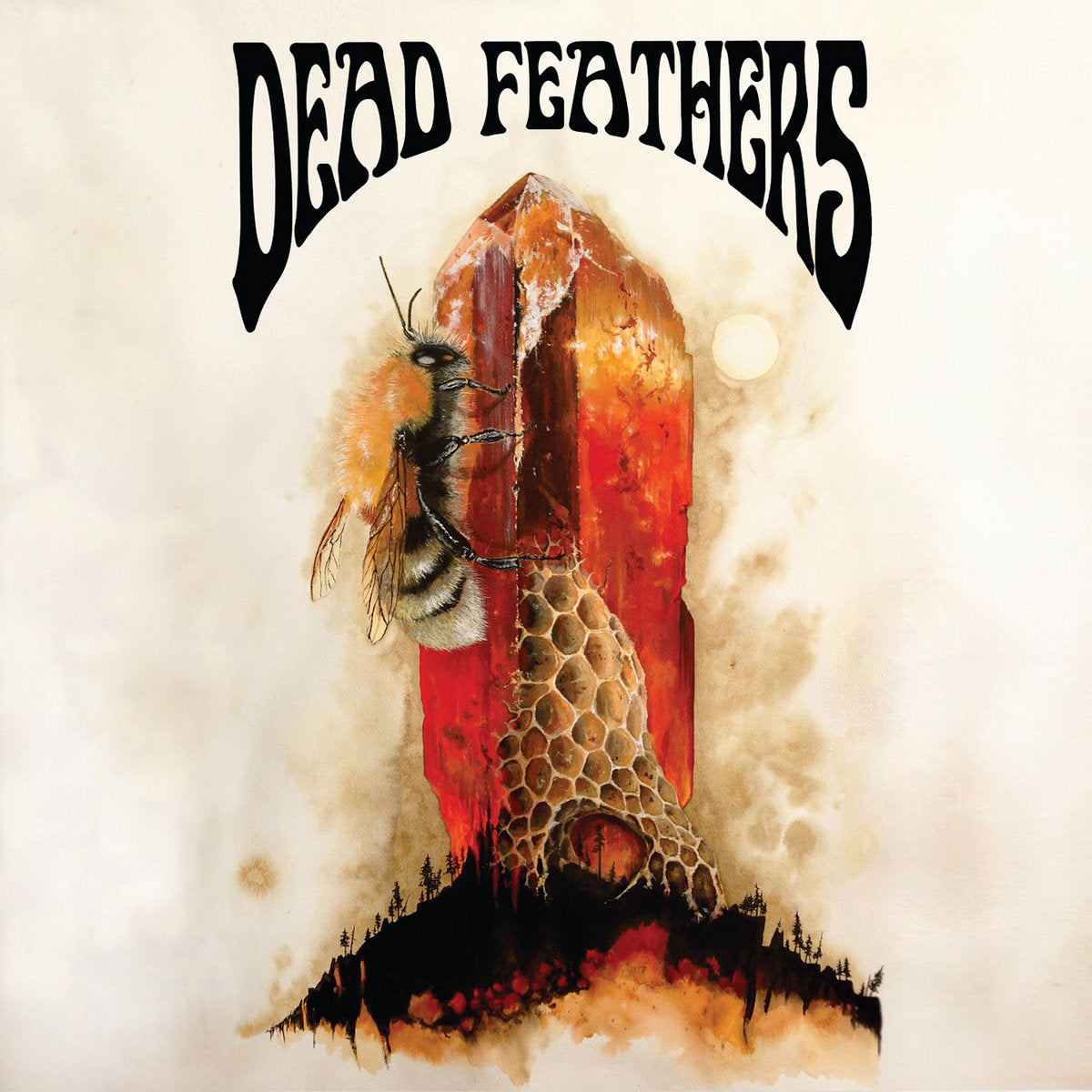 Dead Feathers: Chicago's Psychedelic Rock Band