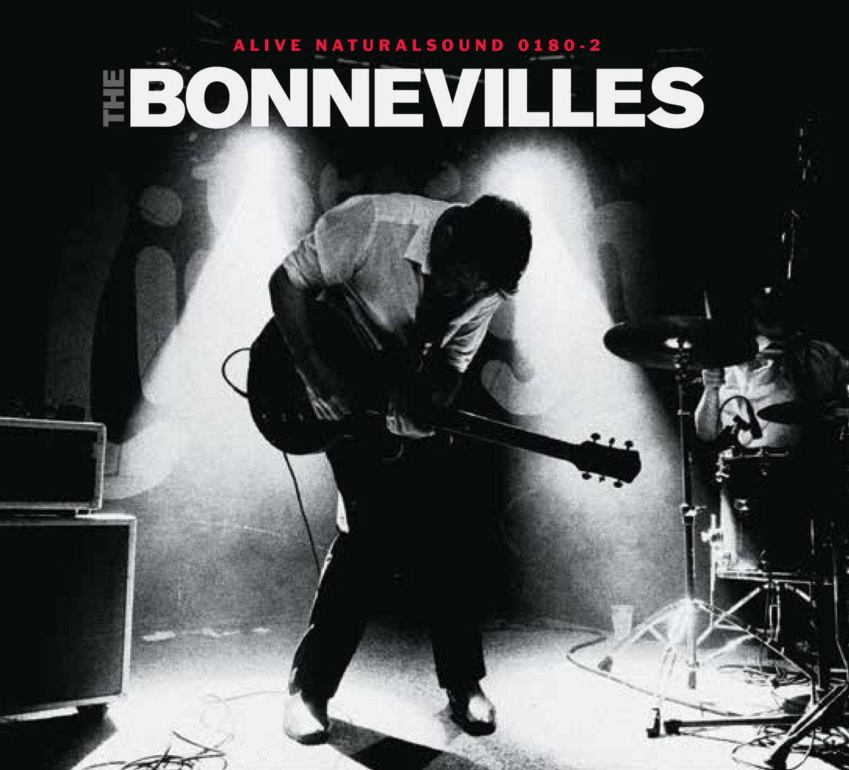 The Bonnevilles: Northern Ireland's Punk Blues Duo